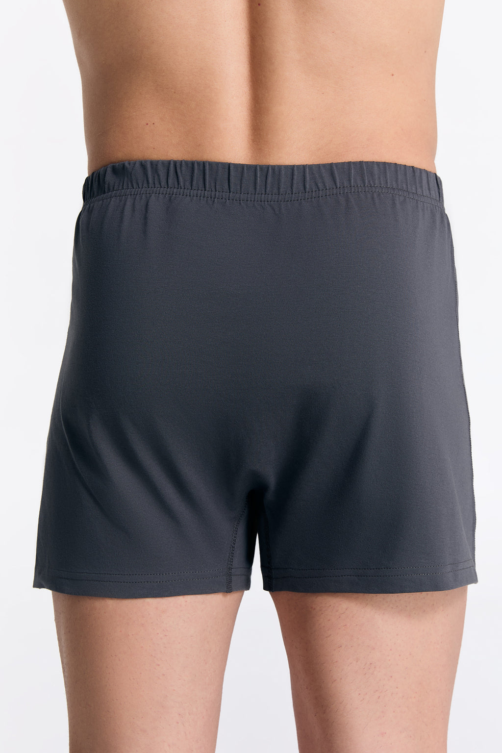 Men's organic cotton boxer shorts in Anthracite Melange, back view on model