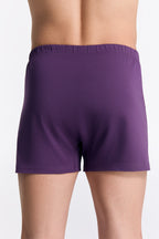 Men's organic cotton boxer shorts in Weinbeere, back view on model