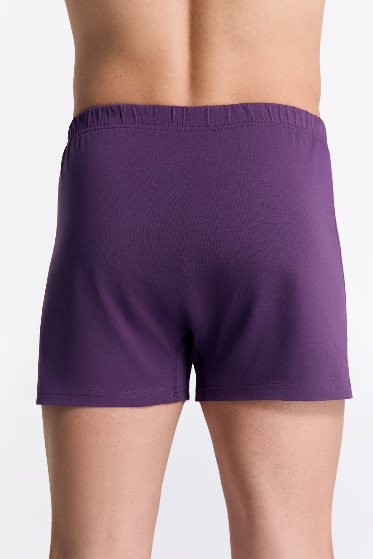Men's organic cotton boxer shorts in Weinbeere, back view on model