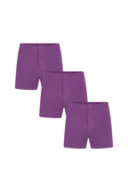 Men's organic cotton boxer shorts 3-pack in Weinbeere, laid flat