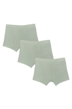 Boys' organic cotton boxer briefs 3-pack in Iceberg Green, laid flat