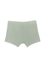 Boys' organic cotton boxer briefs in Iceberg Green, laid flat, front