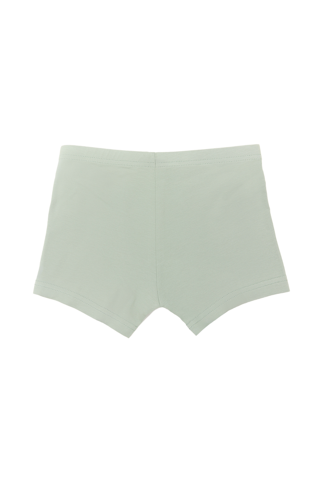 Boys' organic cotton boxer briefs in Iceberg Green, laid flat, back