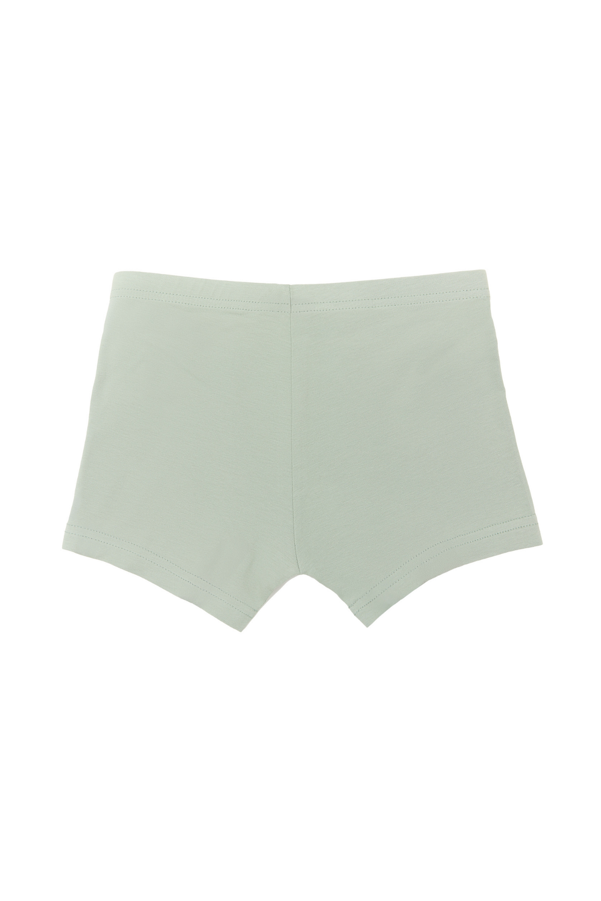 Boys' organic cotton boxer briefs in Iceberg Green, laid flat, back